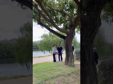 🇧🇩🇰🇷ইউজিন দাদা দাদির সাথে ❤️🌸🦋 MashaAllah #allahummabariklaha #shorts