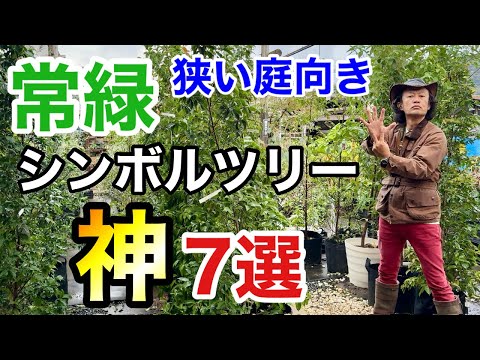 【意外と知らない】コンパクトな庭におすすめな常緑シンボルツリー　7選　　　　　【カーメン君】【園芸】【ガーデニング】【初心者】