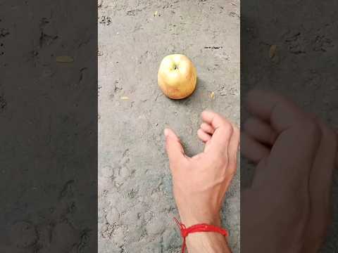 ASMR WARHEADS SOUR!🐸 TAFFY CANDY (3 TROPICAL FLAVORS) AND EATING SOUNDSCAPE