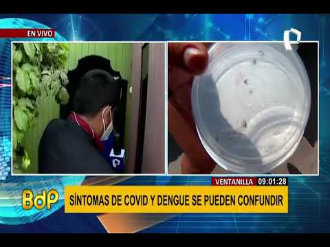 Municipalidad de Ventanilla realiza acciones para evitar casos de dengue
