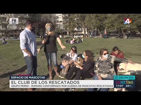 Vespertinas - El club de los rescatados