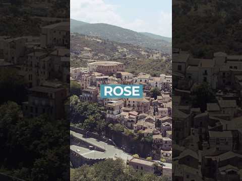 Rose - Short Video