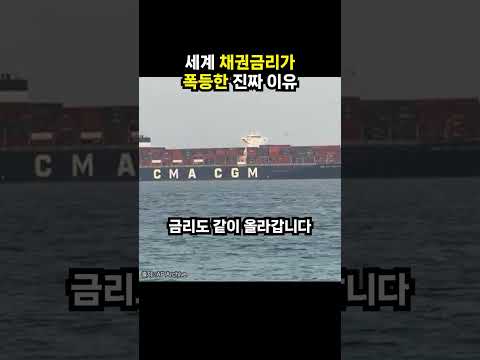 <strong>세계</strong> 채권금리가 폭등한 진짜 이유 (이슈딸깍)
