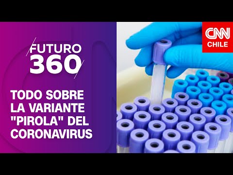Todo sobre la variante Pirola del coronavirus | Bloque científico de Futuro 360
