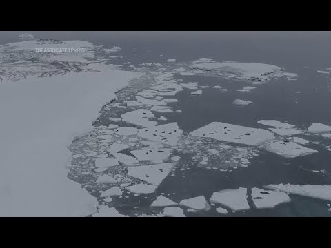 Scientists say melting Antarctic iceberg poses major sea level threat