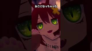 ねこになっちゃった
