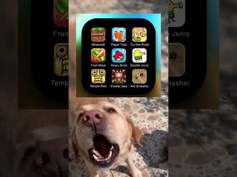 #memes #story #dog #shorts #pets