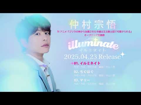 仲村宗悟 - イルミネイト 全曲試聴動画