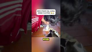 bro bukan kucing balita dawg 😭🙏 #apih #clips #stream #foryou