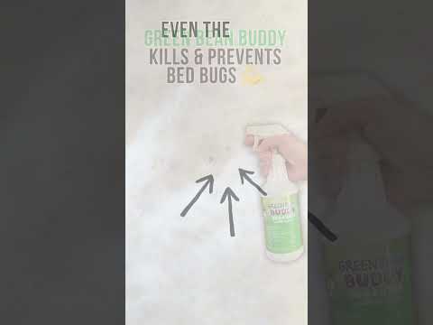 Ready to throw away your mattress because of bed bugs 🛏️ Wait — there’s a better way!