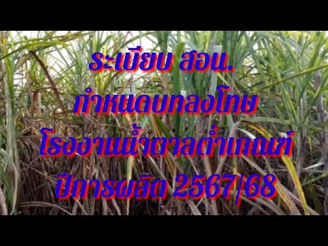 ระเบียบ.สอน.กำหนดบทลงโทษ.โรงงา