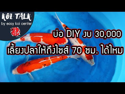 Koi-Talk-EP.13-บ่อปลาคาร์ฟ-DIY Koi-Talk-EP.13-บ่อปลาคาร์ฟ-DIY