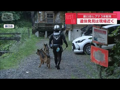 北海道羅臼岳でヒグマに襲われた男性の遺体と駆除されたクマの関係について サムネイル