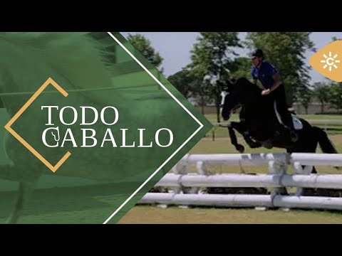 TodoCaballo | Cría y camino de las olimpiadas