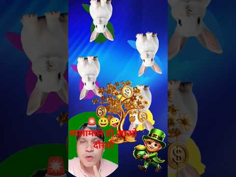 🚨 घूमते हुए खरगोश को आप को रोकना है 🤪🚫#challenge #art #puzzlegame #ytshorts #post#videogames #rabbit