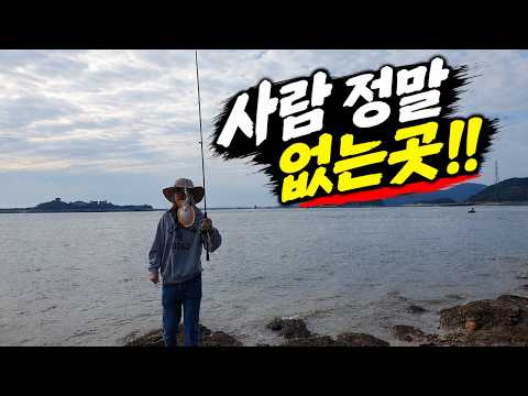 쭈꾸미 갑오징어 정말 사람없는 포인트