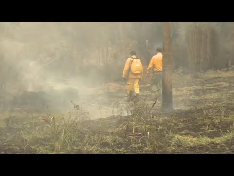 Incendio consumió cañaveral en Arroyos y Esteros