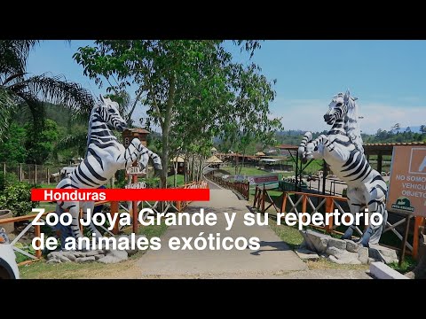 Zoo Joya Grande y su repertorio de animales exóticos