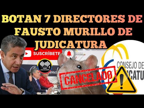 BOTAN 7 FUNCIONARIOS DE FAUSTO MURILLO DESBARATAN NIDO DE RATAS EN LA JUDICATURA NOTICIAS RFE TV