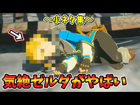 ヘドロライク瞬殺･ゼルダを気絶させると･四足歩行の不思議など小ネタ集【ティアキン TotK】裏技 バグ 検証 ゆっくり実況 glitch