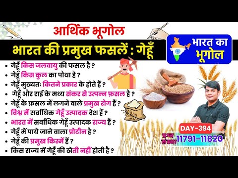 394. भारत की प्रमुख फसलें : गेहूं | Major Indian Corp Wheat | Indian Geography by Nitin Sir STUDY91