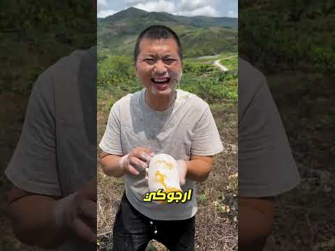 ابني ظنّ أن المانجو كانت سامة! 😂🥭