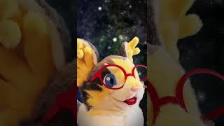 宇宙猫、ちーやん。#まーくんちーやん