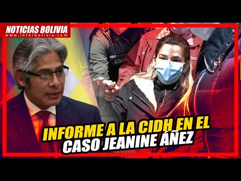 ? Conferencia de prensa sobre el Informe del Estado Plurinacional a la CIDH en el caso Jeanine Áñez.