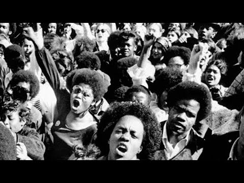 Teach History Of Black Power Revolution In Schools
