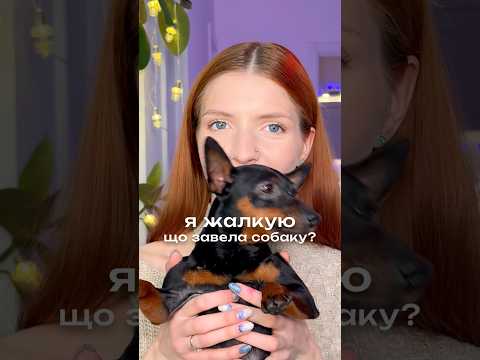 мати сабачку — не завжди легко 🙈
