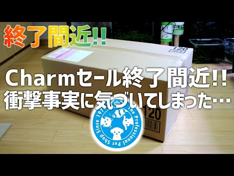 1000円台で買ったのが100円台!?…と思いきや… Charmのセールが終了するまでにお買い得商品紹介!! #610【アクアリウム】