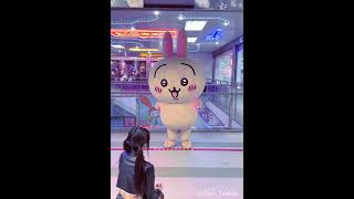 （´o̴̶̤ㅂo̴̶̤`）✨しかのこのこのここしたんたん#mydeerfriendnokotan #アニメ #anime #chiikawa