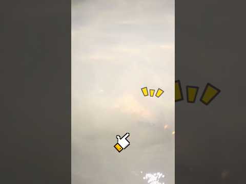 물속에서 도망치는 생명체를 집게로 척척 잡아내는 기똥찬 실력! #shorts