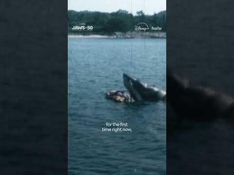 The story of Jaws thrilled Steven Spielberg long before the cameras rolled.