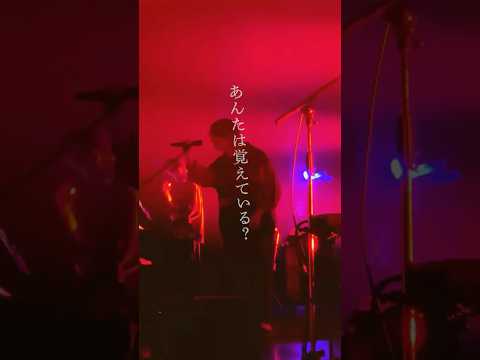 「ミーム」👑ライブ映像を一部公開！須田景凪 TOUR 2026 