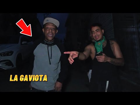 ReyDelacity Visita A LasOcurrenciasDeMisTíos  y Hace Enojar A La Gaviota 