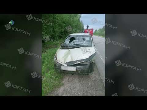 Несколько человек пострадали на дорогах региона в авариях. Кто и куда торопился?