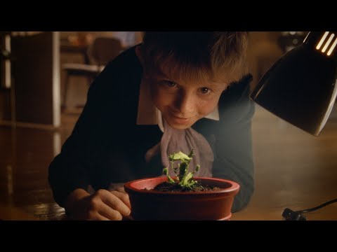 johnlewis.com & John Lewis Discount Code video: Snapper: The Perfect Tree | John Lewis & Partners | Christmas Ad 2023