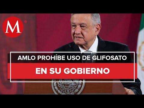 AMLO frena proyecto sobre uso de glifosato