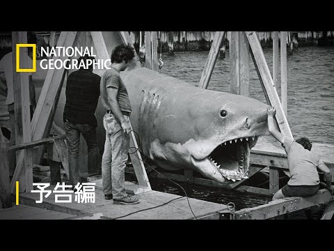 独占！『ジョーズ』50 周年：スピルバーグが語る伝説の裏側 - 予告編 | ナショジオ
