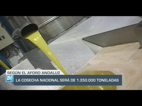 El Campo | La cosecha nacional de aceite será de 1.350.000 toneladas | 04/10/24