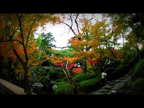 Chris Rea - As Long As I Have Your Love - HD