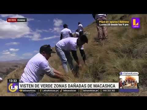 Huaraz: Voluntarios siembran pinos en zona dañada de macashca por incendio forestal