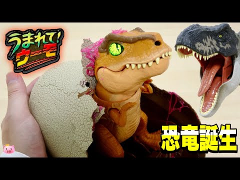 恐竜が誕生するドキドキを体験できる! うまれて!ウーモ ジュラシック・ワールド T-レックスエッグ