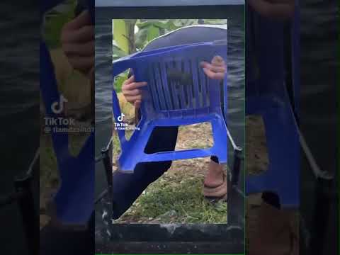 Dao đâu ý nhỉ…