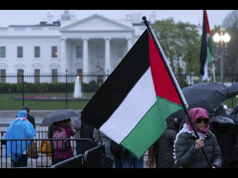 Palestinian American doctor who walked out of White House meeting reacts to Biden-Netanyahu call