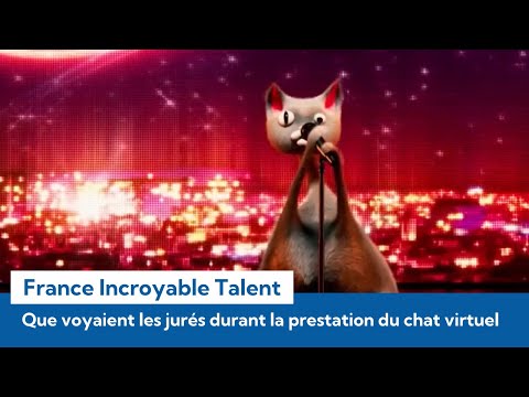 France incroyable talent : Que voyaient les jurés pendant la prestation de Nouille, le chat virtuel?