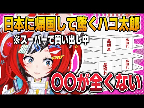 日本に戻って早々、スーパーからあれが消えていて驚くハコ太郎【英語解説】【日英両字幕】