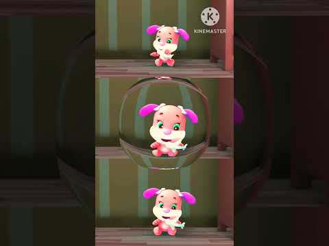 doggy is playing with a toy plane #shortvideo