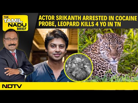 Actor Srikanth Arrested in Cocaine Probe | AIADMK Embarrassed at Muruga Meet | Leopard Kills 4 YO